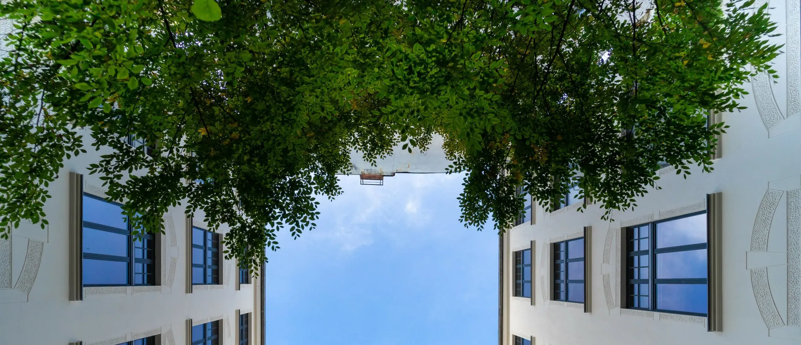 Widok w górę na wewnętrzne podwórze otoczone budynkami z białymi fasadami i zielonymi drzewami – ilustracja do sekcji Kontakt kancelarii KRK.